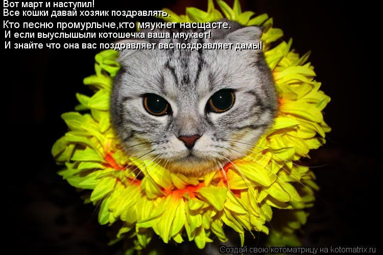 Кто песню промурлыче,кто мяукнет насщасте. Вот март и наступил! Все кошки давай хозяик поздравлять. И... Котоматрица: Кто песню промурлыче,кто мяукнет насщасте. Вот март и наступил! Все кошки давай хозяик поздравлять. И если выуслышыли котошечка ваша мяукае