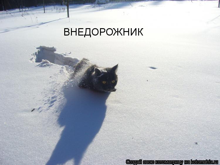 ВНЕДОРОЖНИК... Котоматрица: ВНЕДОРОЖНИК