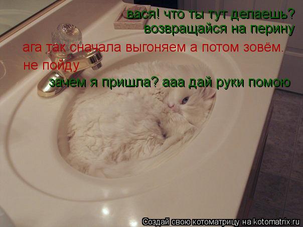 вася! что ты тут делаешь? возвращайся на перину ага так сначала выгоняем а потом зовём. не пойду заче... Котоматрица: вася! что ты тут делаешь? возвращайся на перину ага так сначала выгоняем а потом зовём. не пойду зачем я пришла? ааа дай руки помою