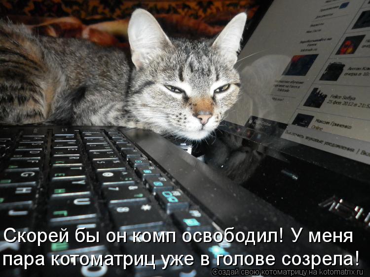 Скорей бы он комп освободил! У меня пара котоматриц уже в голове созрела!... Котоматрица: Скорей бы он комп освободил! У меня пара котоматриц уже в голове созрела!
