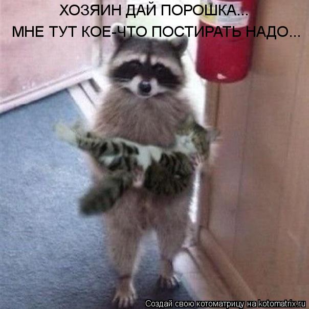 ХОЗЯИН ДАЙ ПОРОШКА... МНЕ ТУТ КОЕ-ЧТО ПОСТИРАТЬ НАДО...... Котоматрица: ХОЗЯИН ДАЙ ПОРОШКА... МНЕ ТУТ КОЕ-ЧТО ПОСТИРАТЬ НАДО...