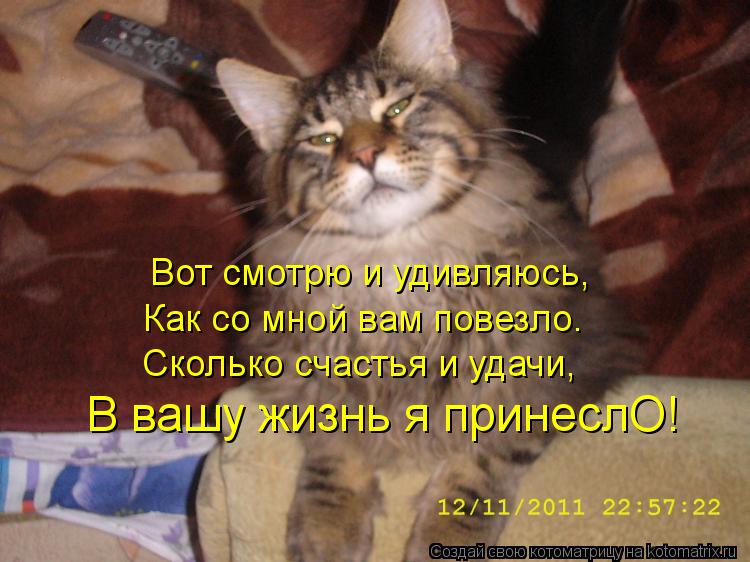Вот смотрю и удивляюсь, Как со мной вам повезло. Сколько счастья и удачи, В вашу жизнь я принеслО!... Котоматрица: Вот смотрю и удивляюсь, Как со мной вам повезло. Сколько счастья и удачи, В вашу жизнь я принеслО!