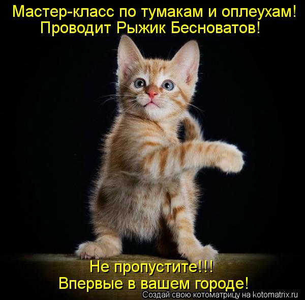 Мастер-класс по тумакам и оплеухам! Проводит Рыжик Бесноватов! Не пропустите!!! Впервые в вашем горо... Котоматрица: Мастер-класс по тумакам и оплеухам! Проводит Рыжик Бесноватов! Не пропустите!!! Впервые в вашем городе!