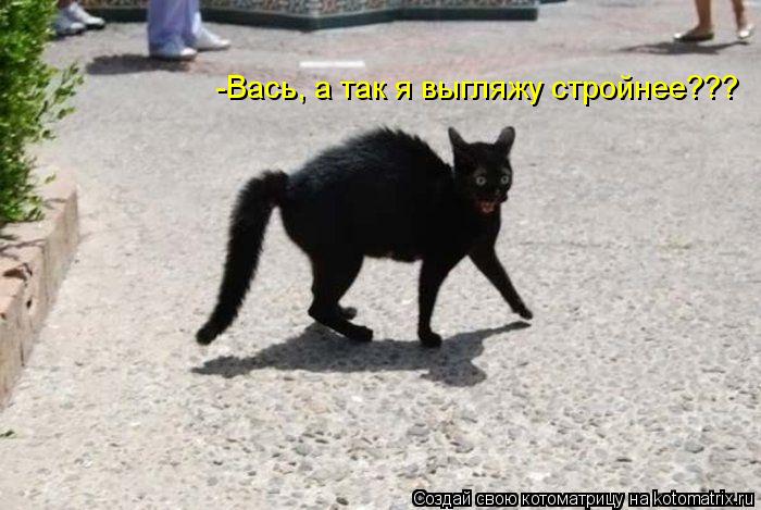 -Вась, а так я выгляжу стройнее???... Котоматрица: -Вась, а так я выгляжу стройнее???
