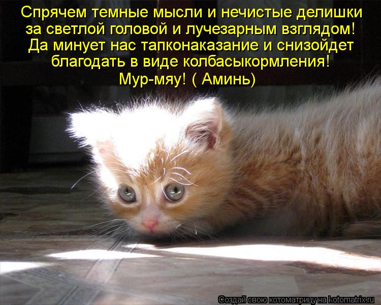 за светлой головой и лучезарным взглядом! Спрячем темные мысли и нечистые делишки Да минует нас тапко... Котоматрица: за светлой головой и лучезарным взглядом! Спрячем темные мысли и нечистые делишки Да минует нас тапконаказание и снизойдет благодать в вид