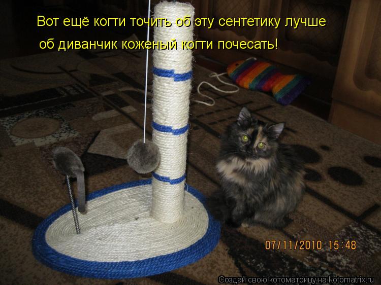 Вот ещё когти точить об эту сентетику лучше об диванчик коженый когти почесать!... Котоматрица: Вот ещё когти точить об эту сентетику лучше об диванчик коженый когти почесать!