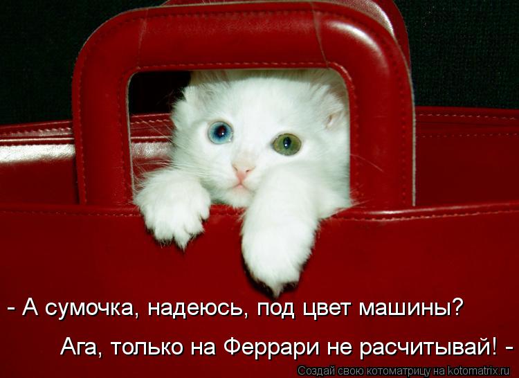 - А сумочка, надеюсь, под цвет машины? Ага, только на Феррари не расчитывай! -... Котоматрица: - А сумочка, надеюсь, под цвет машины? Ага, только на Феррари не расчитывай! -