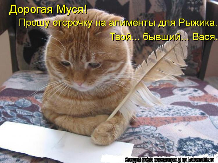Дорогая Муся! Прошу отсрочку на алименты для Рыжика. Твой... бывший... Вася.... Котоматрица: Дорогая Муся! Прошу отсрочку на алименты для Рыжика. Твой... бывший... Вася.