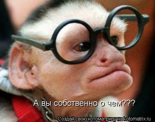 А вы собственно о чем???... Котоматрица: А вы собственно о чем???