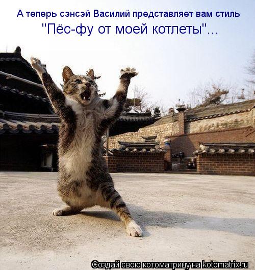 "Пёс-фу от моей котлеты"... А теперь сэнсэй Василий представляет вам стиль... Котоматрица: "Пёс-фу от моей котлеты"... А теперь сэнсэй Василий представляет вам стиль