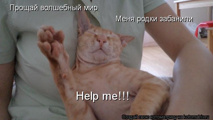 Котоматрица: Прощай волшебный мир Меня родки забанили Help me!!!