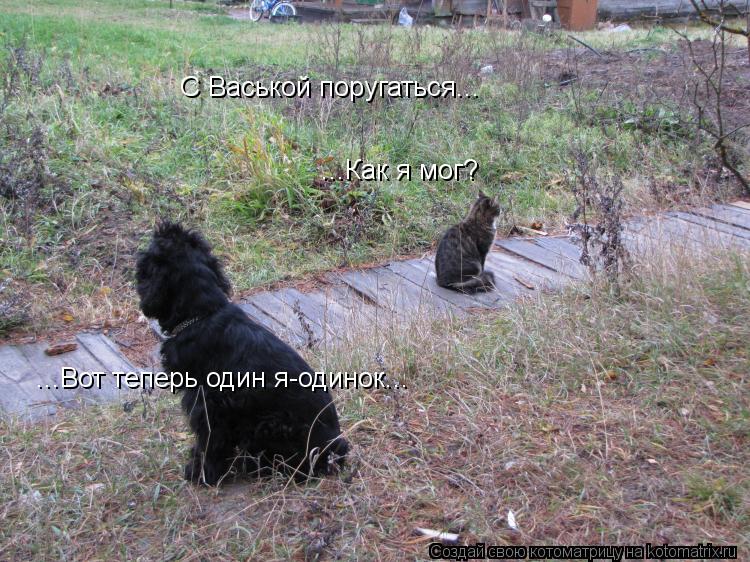...Вот теперь один я-одинок... С Васькой поругаться... ...Как я мог?... Котоматрица: ...Вот теперь один я-одинок... С Васькой поругаться... ...Как я мог?