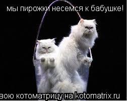 мы пирожки несемся к бабушке!... Котоматрица: мы пирожки несемся к бабушке!