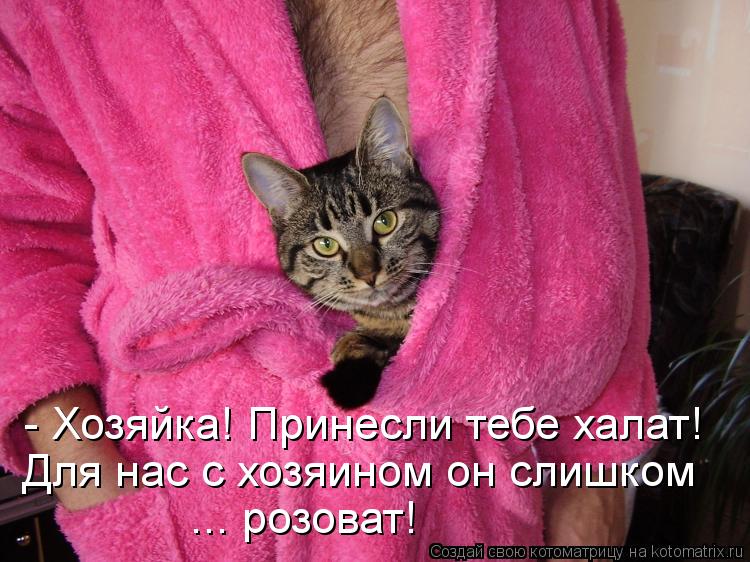 - Хозяйка! Принесли тебе халат! Для нас с хозяином он слишком ... розоват!... Котоматрица: - Хозяйка! Принесли тебе халат! Для нас с хозяином он слишком ... розоват!
