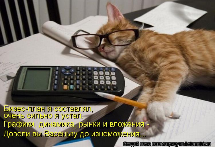 Бизес-план я составлял, очень сильно я устал. Графики, динамика, рынки и вложения - Довели вы Васеньк... Котоматрица: Бизес-план я составлял, очень сильно я устал. Графики, динамика, рынки и вложения - Довели вы Васеньку до изнеможения...