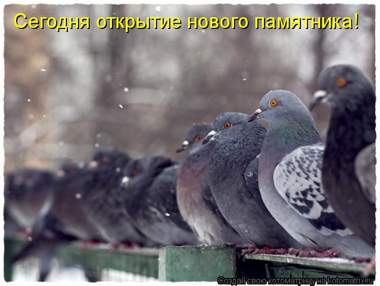 Сегодня открытие нового памятника!... Котоматрица: Сегодня открытие нового памятника!