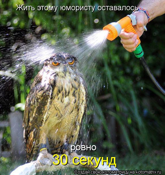 Жить этому юмористу оставалось 30 секунд ровно... Котоматрица: Жить этому юмористу оставалось 30 секунд ровно