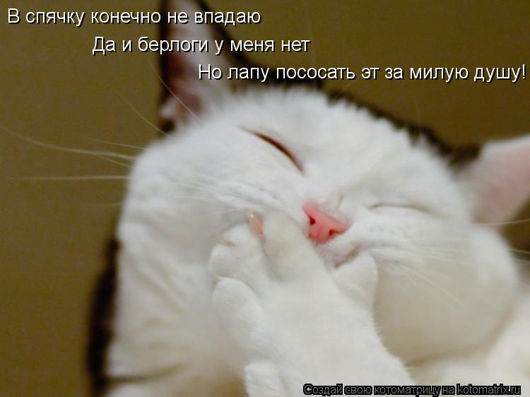 В спячку конечно не впадаю Да и берлоги у меня нет Но лапу пососать эт за милую душу!... Котоматрица: В спячку конечно не впадаю Да и берлоги у меня нет Но лапу пососать эт за милую душу!