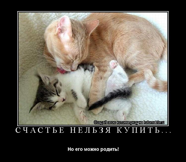 Котоматрица: Счастье нельзя купить... Но его можно родить!