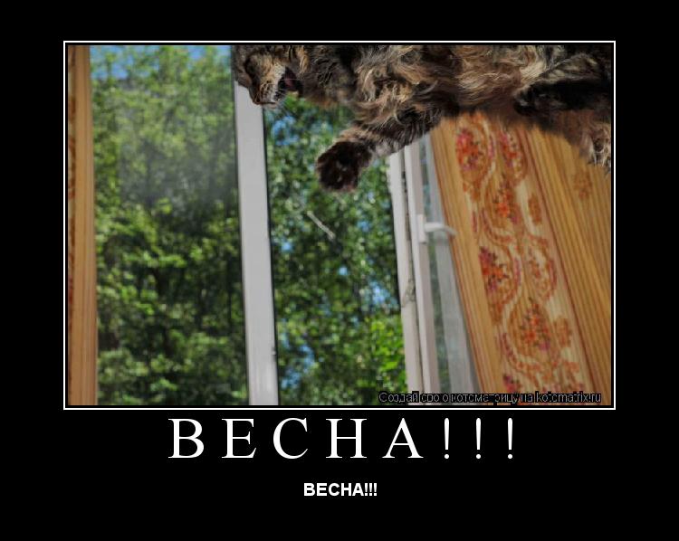 ВЕСНА!!! ВЕСНА!!!... Котоматрица: ВЕСНА!!! ВЕСНА!!!