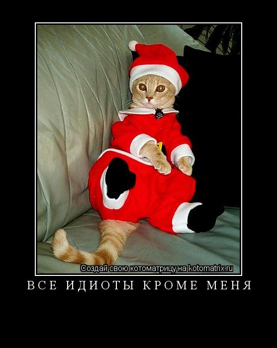 ВСЕ ИДИОТЫ КРОМЕ МЕНЯ ... Котоматрица: ВСЕ ИДИОТЫ КРОМЕ МЕНЯ