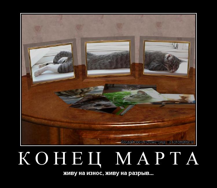 Котоматрица: конец марта живу на износ, живу на разрыв...