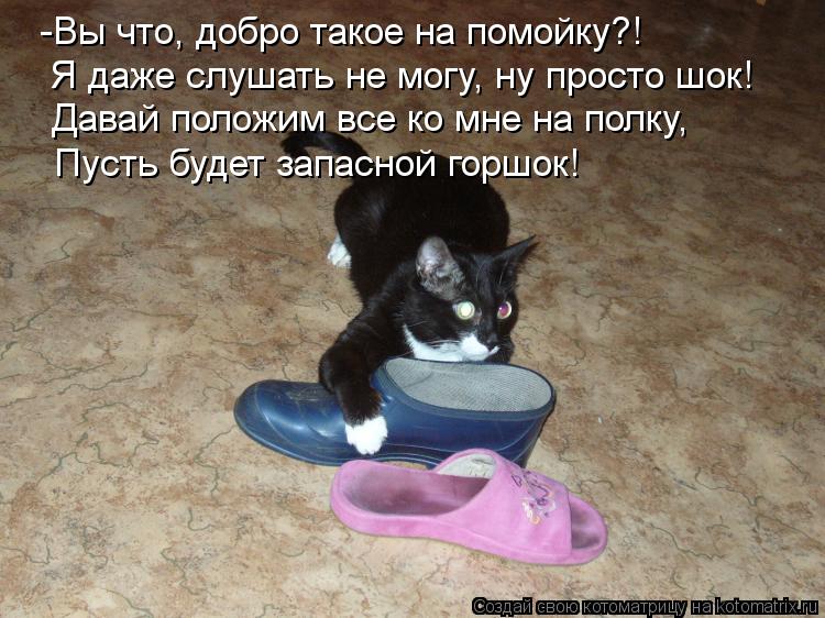 -Вы что, добро такое на помойку?! Я даже слушать не могу, ну просто шок! Давай положим все ко мне на ... Котоматрица: -Вы что, добро такое на помойку?! Я даже слушать не могу, ну просто шок! Давай положим все ко мне на полку, Пусть будет запасной горшок!