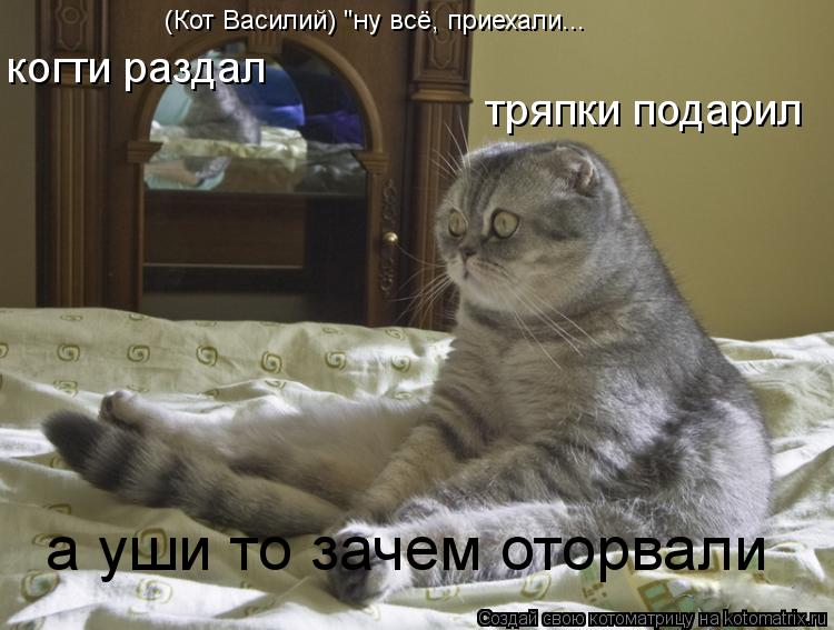(Кот Василий) "ну всё, приехали... когти раздал тряпки подарил а уши то зачем оторвали... Котоматрица: (Кот Василий) "ну всё, приехали... когти раздал тряпки подарил а уши то зачем оторвали