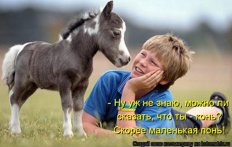 - Ну уж не знаю, можно ли сказать, что ты - конь? Скорее маленькая понь!... Котоматрица: - Ну уж не знаю, можно ли сказать, что ты - конь? Скорее маленькая понь!