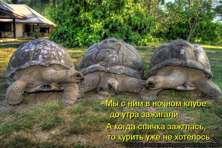 - Мы с ним в ночном клубе до утра зажигали. А когда спичка зажглась, то курить уже не хотелось.... Котоматрица: - Мы с ним в ночном клубе до утра зажигали. А когда спичка зажглась, то курить уже не хотелось.