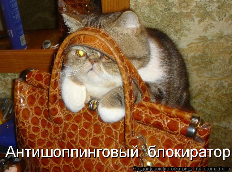 Антишоппинговый блокиратор... Котоматрица: Антишоппинговый блокиратор