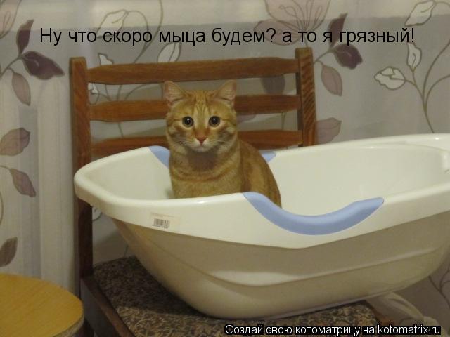 Ну что скоро мыца будем? а то я грязный!... Котоматрица: Ну что скоро мыца будем? а то я грязный!
