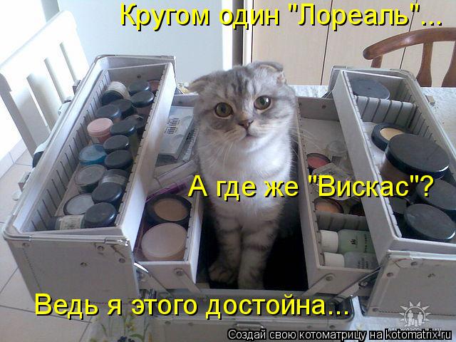 Кругом один "Лореаль"... А где же "Вискас"? Ведь я этого достойна...... Котоматрица: Кругом один "Лореаль"... А где же "Вискас"? Ведь я этого достойна...