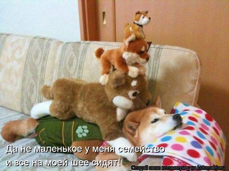 Да не маленькое у меня семейство и все на моей шее сидят!... Котоматрица: Да не маленькое у меня семейство и все на моей шее сидят!