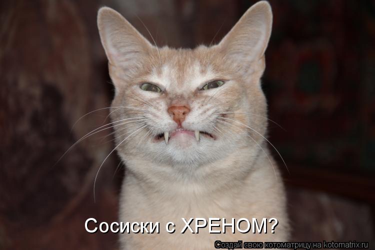Сосиски с ХРЕНОМ?... Котоматрица: Сосиски с ХРЕНОМ?