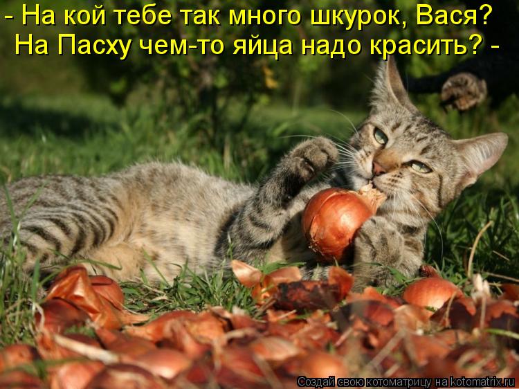 Котоматрица: - На кой тебе так много шкурок, Вася? На Пасху чем-то яйца надо красить? -