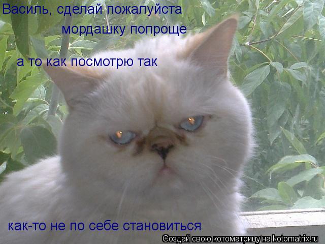 Василь, сделай пожалуйста мордашку попроще а то как посмотрю так как-то не по себе становиться... Котоматрица: Василь, сделай пожалуйста мордашку попроще а то как посмотрю так как-то не по себе становиться