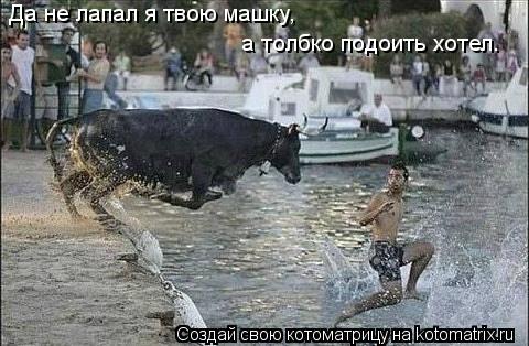 Да не лапал я твою машку, а толбко подоить хотел.... Котоматрица: Да не лапал я твою машку, а толбко подоить хотел.