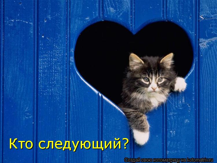 Кто следующий?... Котоматрица: Кто следующий?
