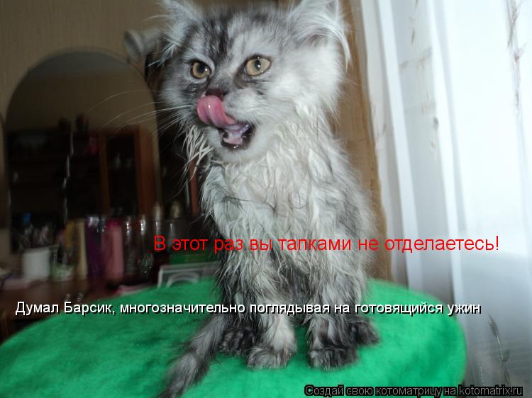 В этот раз вы тапками не отделаетесь! Думал Барсик, многозначительно поглядывая на готовящийся ужин... Котоматрица: В этот раз вы тапками не отделаетесь! Думал Барсик, многозначительно поглядывая на готовящийся ужин