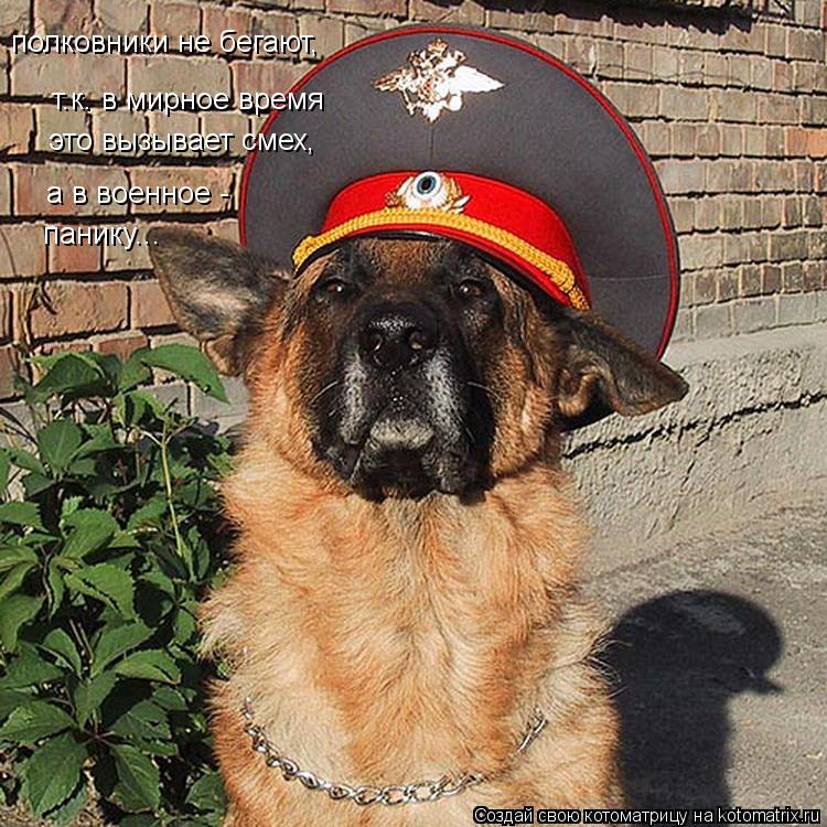 полковники не бегают, т.к. в мирное время это вызывает смех, а в военное - панику...... Котоматрица: полковники не бегают, т.к. в мирное время это вызывает смех, а в военное - панику...