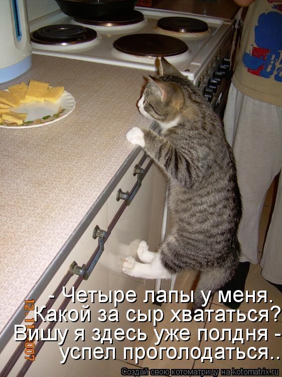 - Четыре лапы у меня. Какой за сыр хвататься? Вишу я здесь уже полдня - успел проголодаться...... Котоматрица: - Четыре лапы у меня. Какой за сыр хвататься? Вишу я здесь уже полдня - успел проголодаться...
