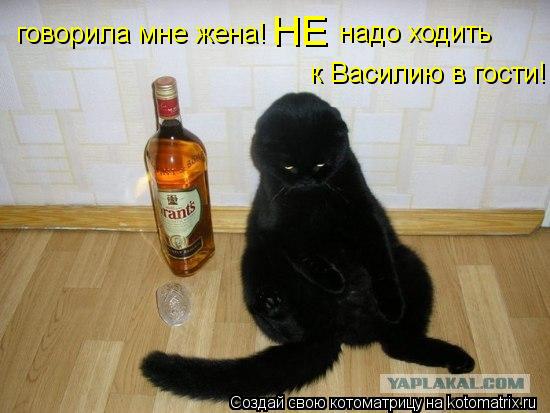 НЕ надо ходить к Василию в гости! говорила мне жена!... Котоматрица: НЕ надо ходить к Василию в гости! говорила мне жена!