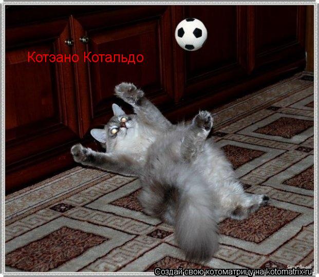 Котэано Котальдо... Котоматрица: Котэано Котальдо