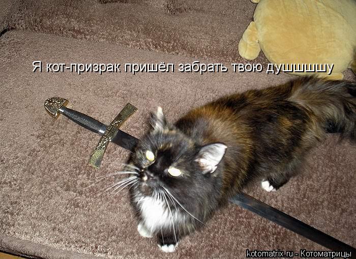 Я кот-призрак пришёл забрать твою душшшшу... Котоматрица: Я кот-призрак пришёл забрать твою душшшшу