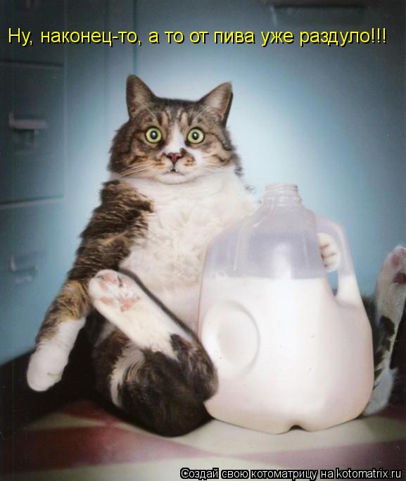 Ну, наконец-то, а то от пива уже раздуло!!!... Котоматрица: Ну, наконец-то, а то от пива уже раздуло!!!