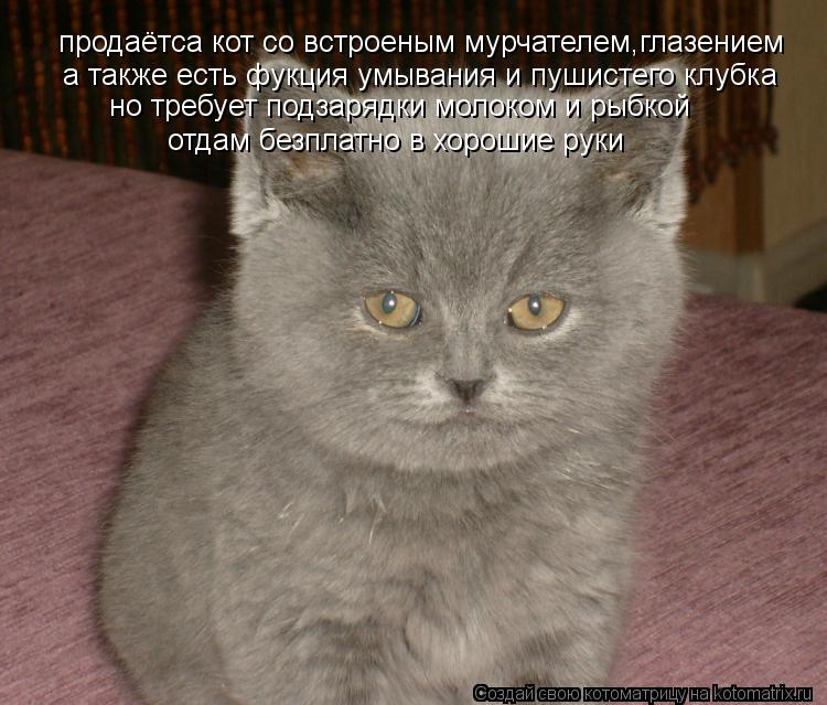 продаётса кот со встроеным мурчателем,глазением а также есть фукция умывания и пушистего клубка но тр... Котоматрица: продаётса кот со встроеным мурчателем,глазением а также есть фукция умывания и пушистего клубка но требует подзарядки молоком и рыбкой от
