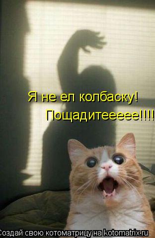 Я не ел колбаску! Пощадитеееее!!!!... Котоматрица: Я не ел колбаску! Пощадитеееее!!!!