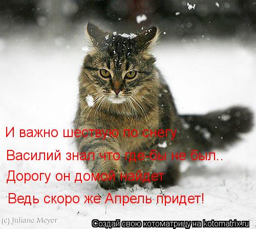 И важно шествую по снегу Василий знал что где-бы не был.. Дорогу он домой найдет Ведь скоро же Апрель... Котоматрица: И важно шествую по снегу Василий знал что где-бы не был.. Дорогу он домой найдет Ведь скоро же Апрель придет!