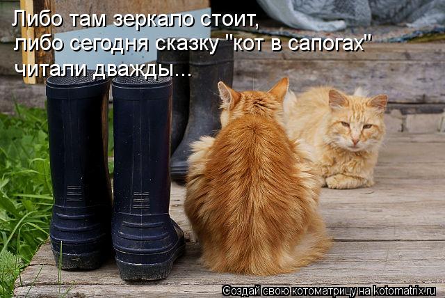Либо там зеркало стоит, либо сегодня сказку "кот в сапогах" читали дважды...... Котоматрица: Либо там зеркало стоит, либо сегодня сказку "кот в сапогах" читали дважды...